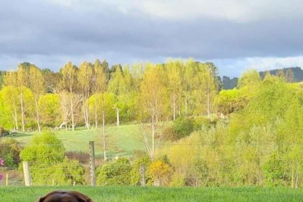 Maymorn Orchard Suites Upper Hutt Esterno foto