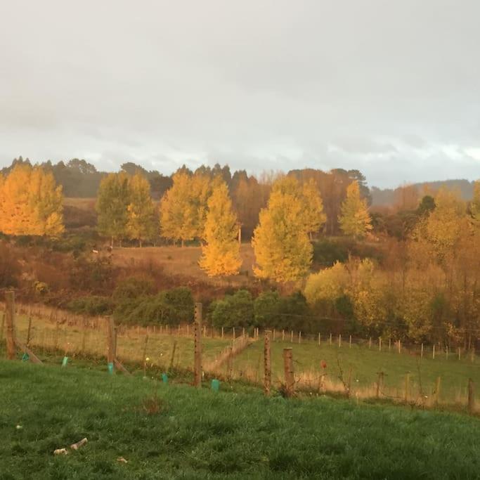Maymorn Orchard Suites Upper Hutt Esterno foto