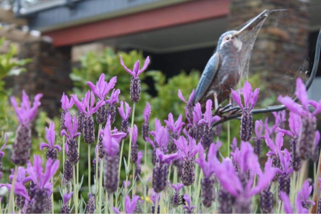 Maymorn Orchard Suites Upper Hutt Esterno foto