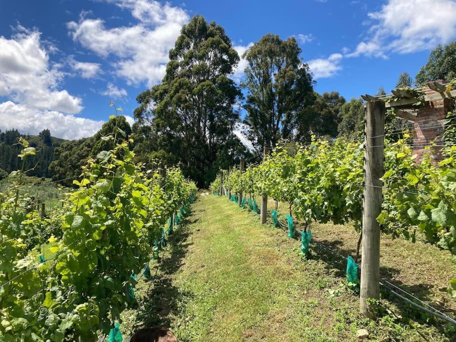 Maymorn Orchard Suites Upper Hutt Esterno foto